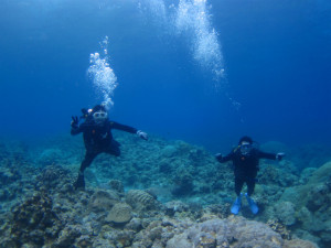 沖縄　ダイビング　慶良間　体験ダイビング