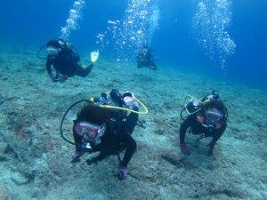 沖縄　体験ダイビング