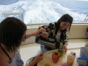 沖縄　体験ダイビング