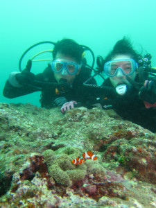 沖縄　体験ダイビング　カクレクマノミ