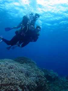 沖縄　体験ダイビング