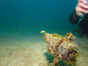 沖縄　ダイビング