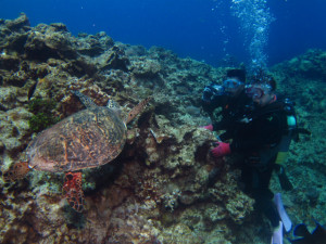 沖縄　体験ダイビング