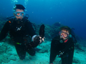 沖縄　体験ダイビング