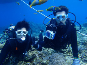 沖縄　ダイビング　慶良間　体験ダイビング