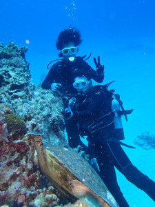 沖縄　ダイビング　慶良間　体験ダイビング