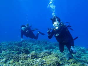 沖縄　ダイビング　体験ダイビング　FUNダイビング　アルファダイブ沖縄