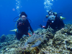 沖縄　ダイビング　慶良間　体験ダイビング