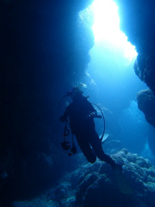 沖縄　ダイビング　慶良間　FUNダイビング