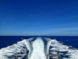 沖縄　ダイビング　慶良間　保全活動