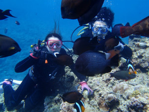 沖縄 ダイビング 青の洞窟 体験ダイビング