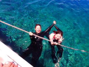 沖縄　ダイビング　慶良間　体験ダイビング　ウミガメ