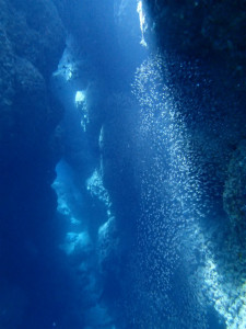 沖縄　ダイビング　慶良間　体験ダイビング