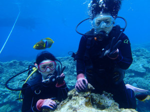沖縄　ダイビング　慶良間　体験ダイビング