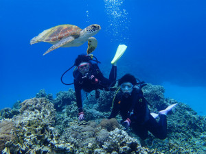 沖縄　ダイビング　慶良間　体験ダイビング
