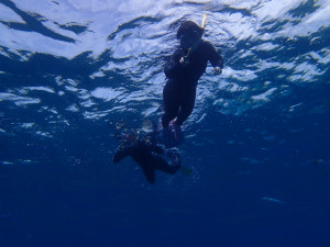 沖縄　ダイビング　慶良間　体験ダイビング