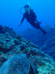 沖縄　ダイビング　OWD講習