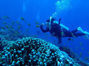 沖縄　ダイビング　慶良間　FUN