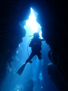 沖縄　ダイビング　慶良間　FUN