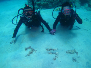 沖縄　ダイビング