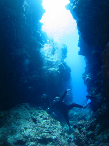 沖縄　ダイビング　慶良間　FUN　体験