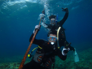 沖縄　ダイビング