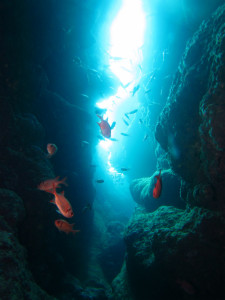 沖縄　ダイビング