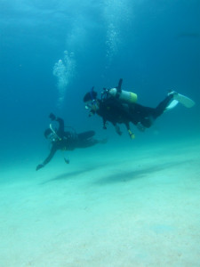 沖縄　ダイビング