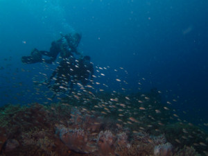 沖縄　体験ダイビング