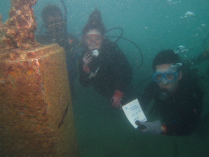 沖縄　ダイビング　体験ダイビング　FUNダイビング