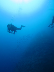 沖縄　ダイビング　ホーシュー