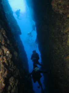 沖縄　ダイビング　ホーシュー