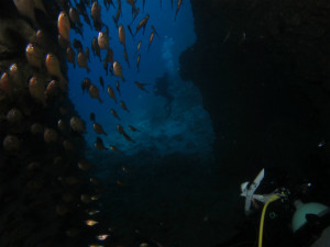 沖縄　ダイビング　ドリームホール