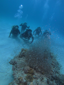 沖縄　ダイビング　慶良間　体験ダイビング　FUNダイビング