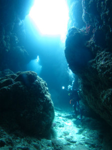 沖縄　ダイビング　慶良間　FUN　体験