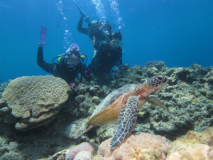 沖縄　ダイビング　慶良間　FUN　体験