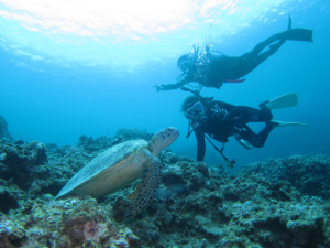 沖縄　ダイビング　慶良間　体験　FUN