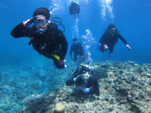 沖縄　体験ダイビング