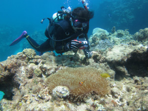 沖縄　ダイビング　慶良間　FUNダイビング　体験ダイビング