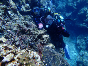 沖縄　ダイビング　慶良間　体験ダイビング