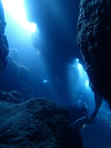 沖縄　ダイビング　FUNダイビング　万座　慶良間