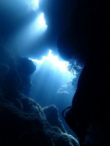 沖縄　ダイビング　慶良間　FUN　体験