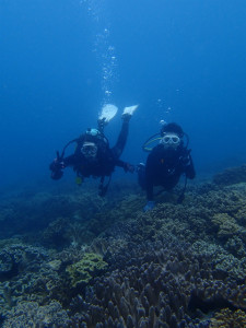 沖縄　ダイビング　体験ダイビング　砂辺