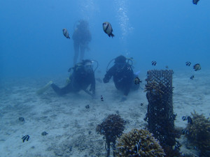 沖縄 ダイビング 真栄田岬 FUNダイビング 体験ダイビング