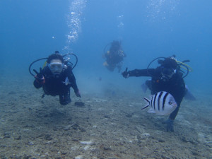 沖縄 ダイビング 真栄田岬 FUNダイビング 体験ダイビング