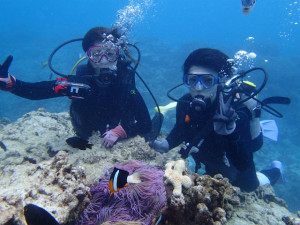 沖縄　ダイビング　慶良間　体験ダイビング