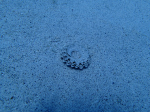 <h2><span style="color: #ff6600;">体験ダイビングで楽しんだ後は、ダイビングを始めよう！！</span></h2>