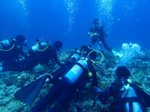 沖縄　ダイビング　慶良間　FUN　体験&