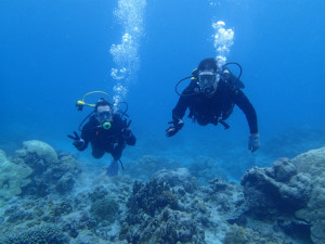 沖縄　ダイビング　慶良間　体験ダイビング