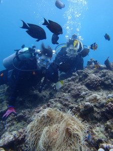 沖縄 ダイビング 真栄田岬 体験ダイビング